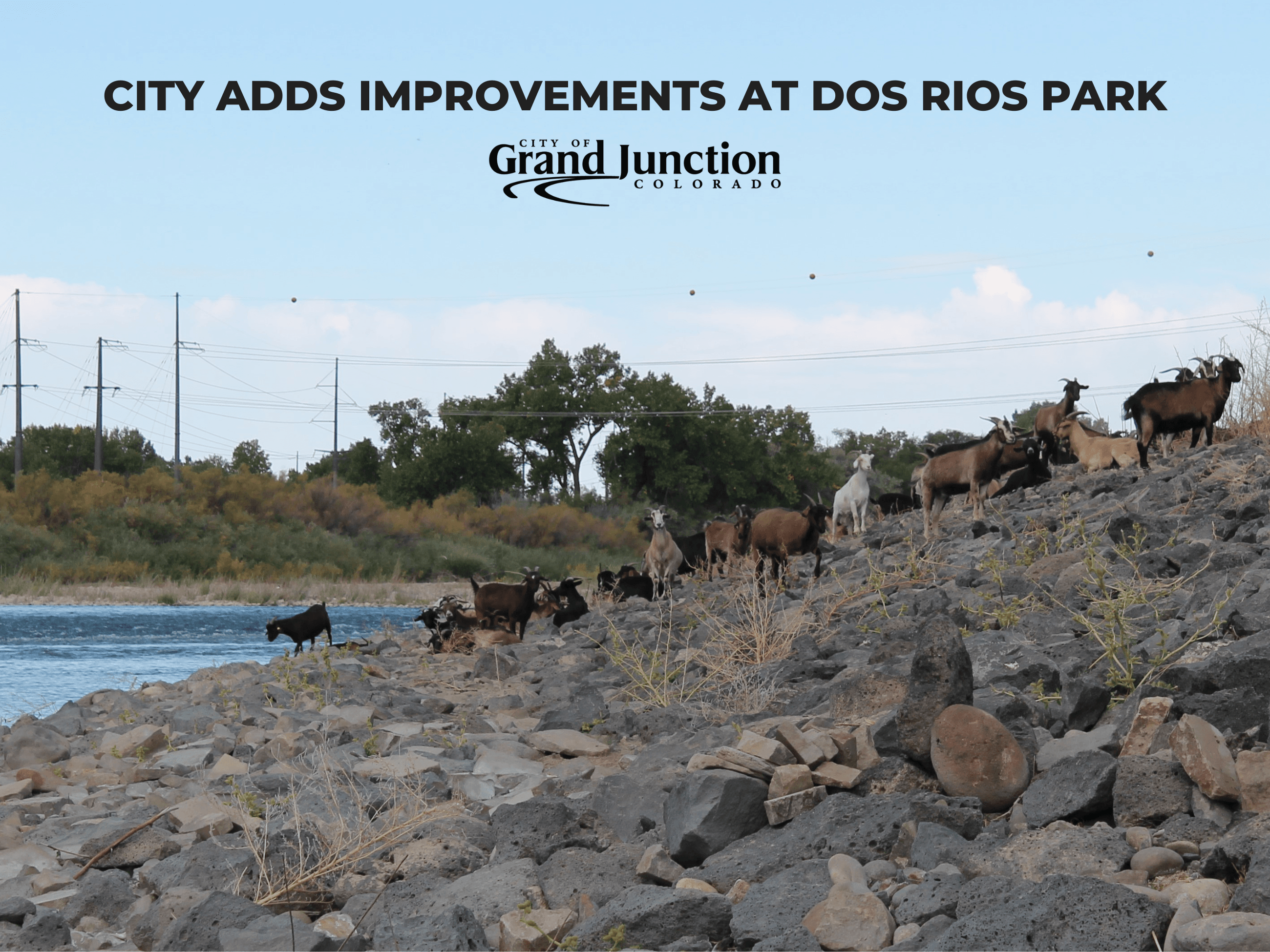 Goats walking along rocks and terrain. Text on graphic. 