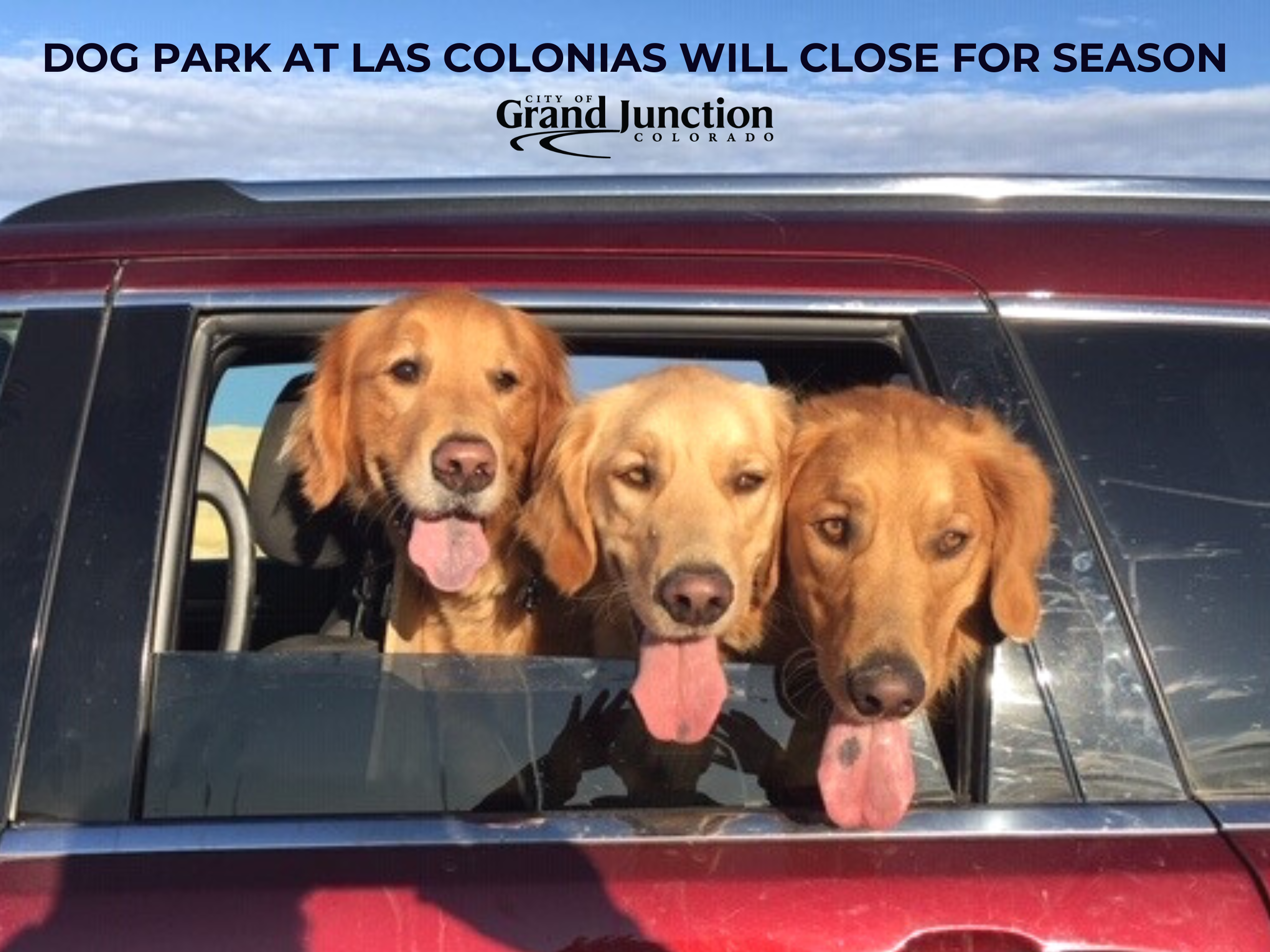 Three dogs with their heads hanging out of a car window. Text on graphic. 