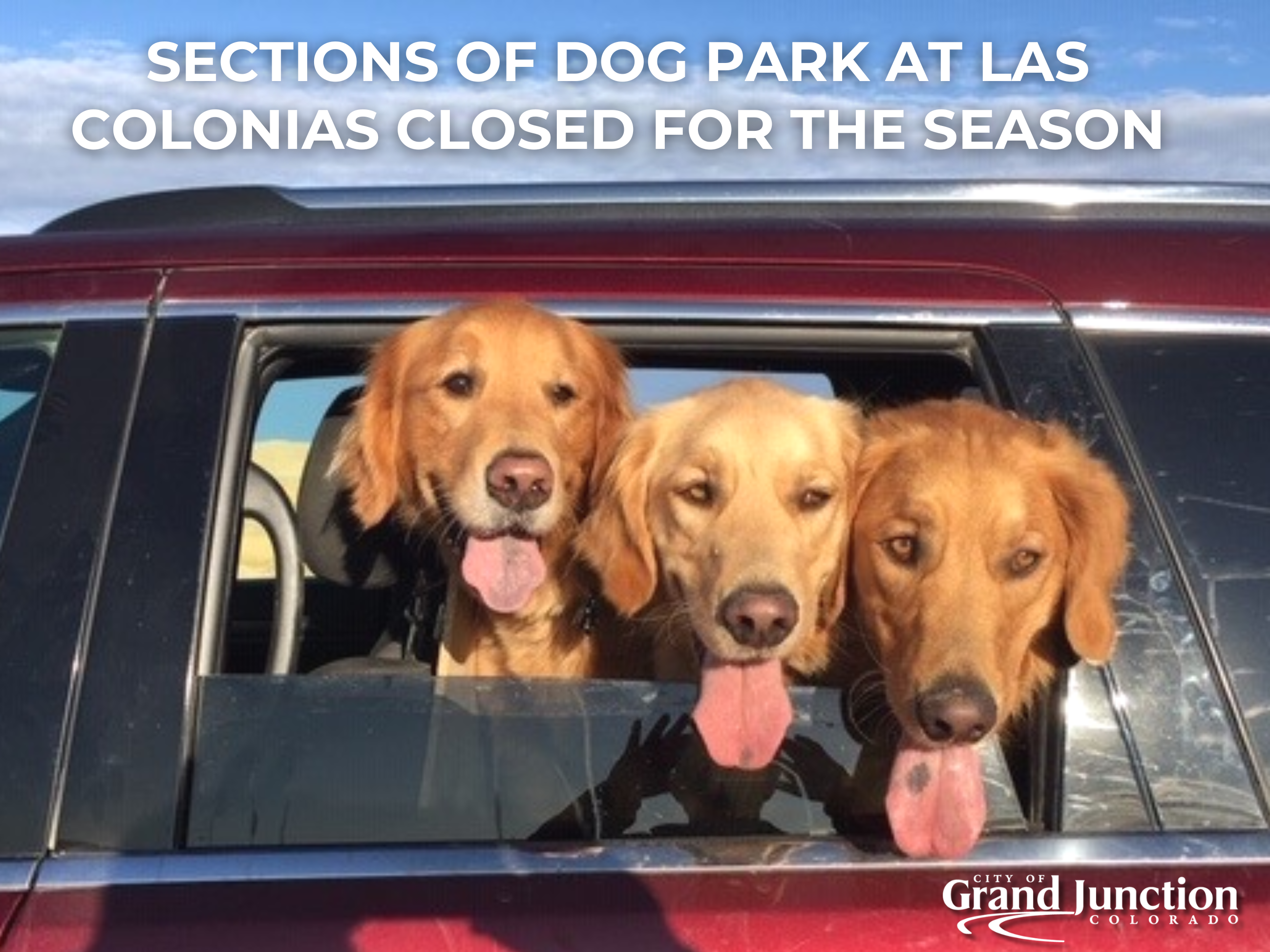 Three dogs looking out of a car window. Text on graphic. 