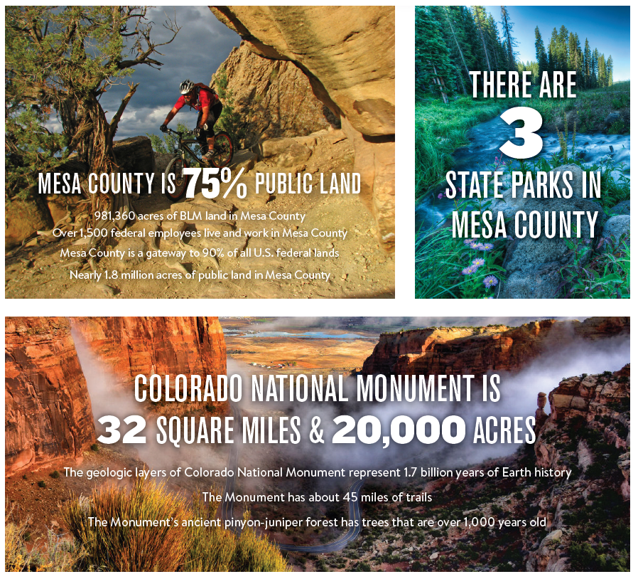 Infographic on Colorado statistics