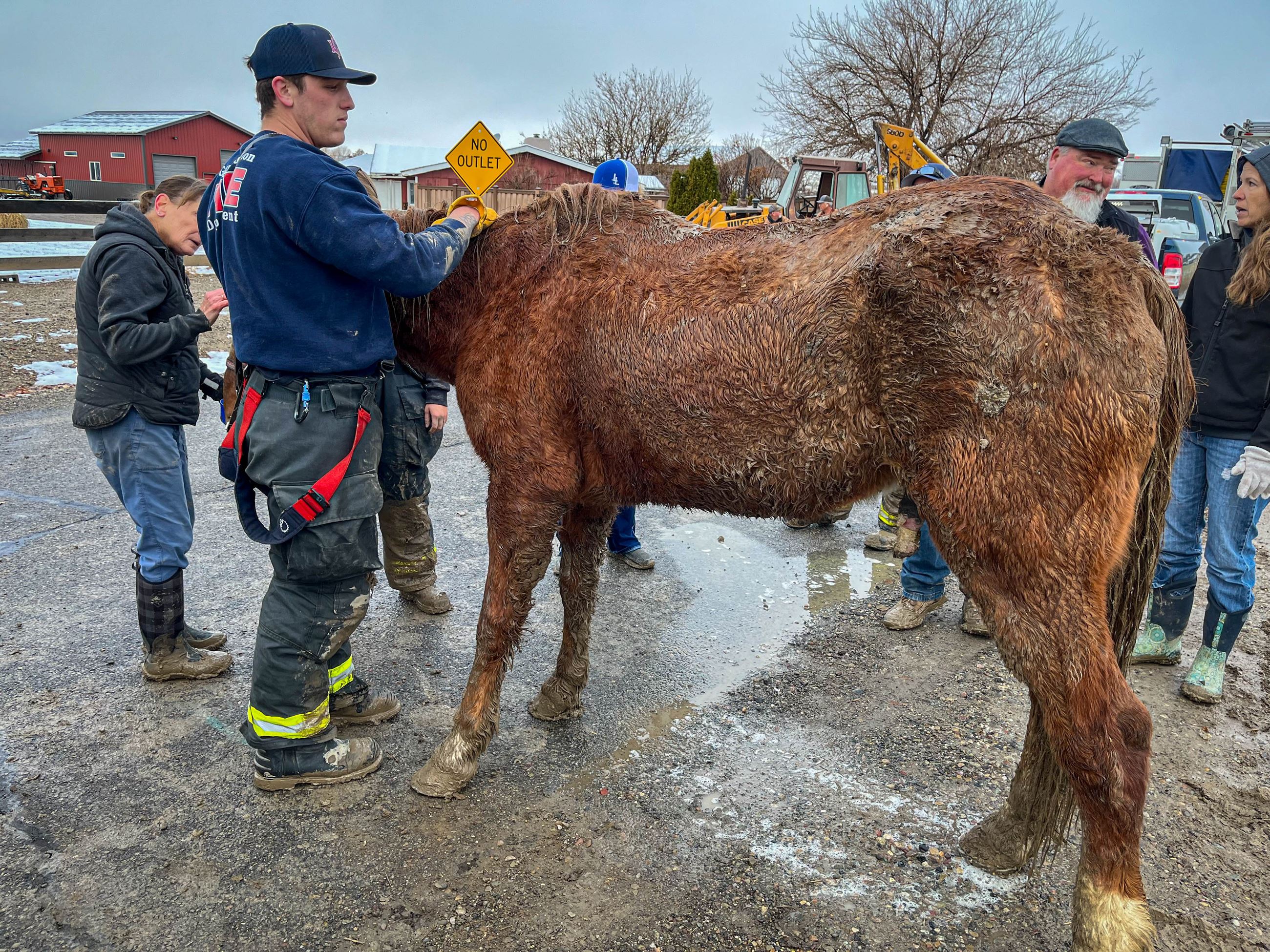 Firefighters rescue a horse that had fallen into a culvert