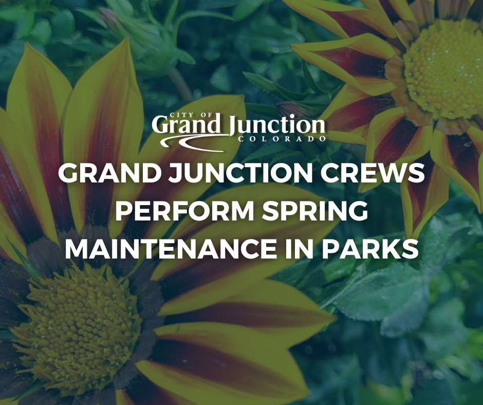 generic graphic with text on image