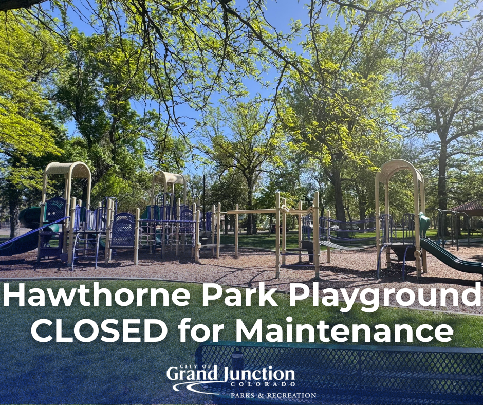 Hawthorne Park Playground