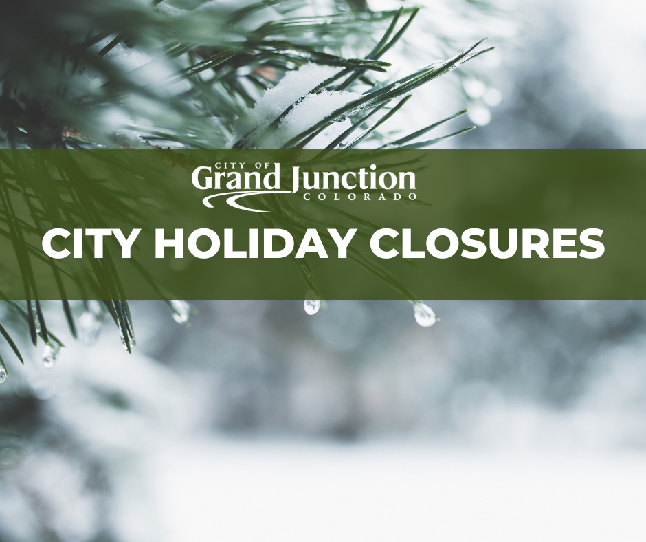 A tree branch with snow on it. 