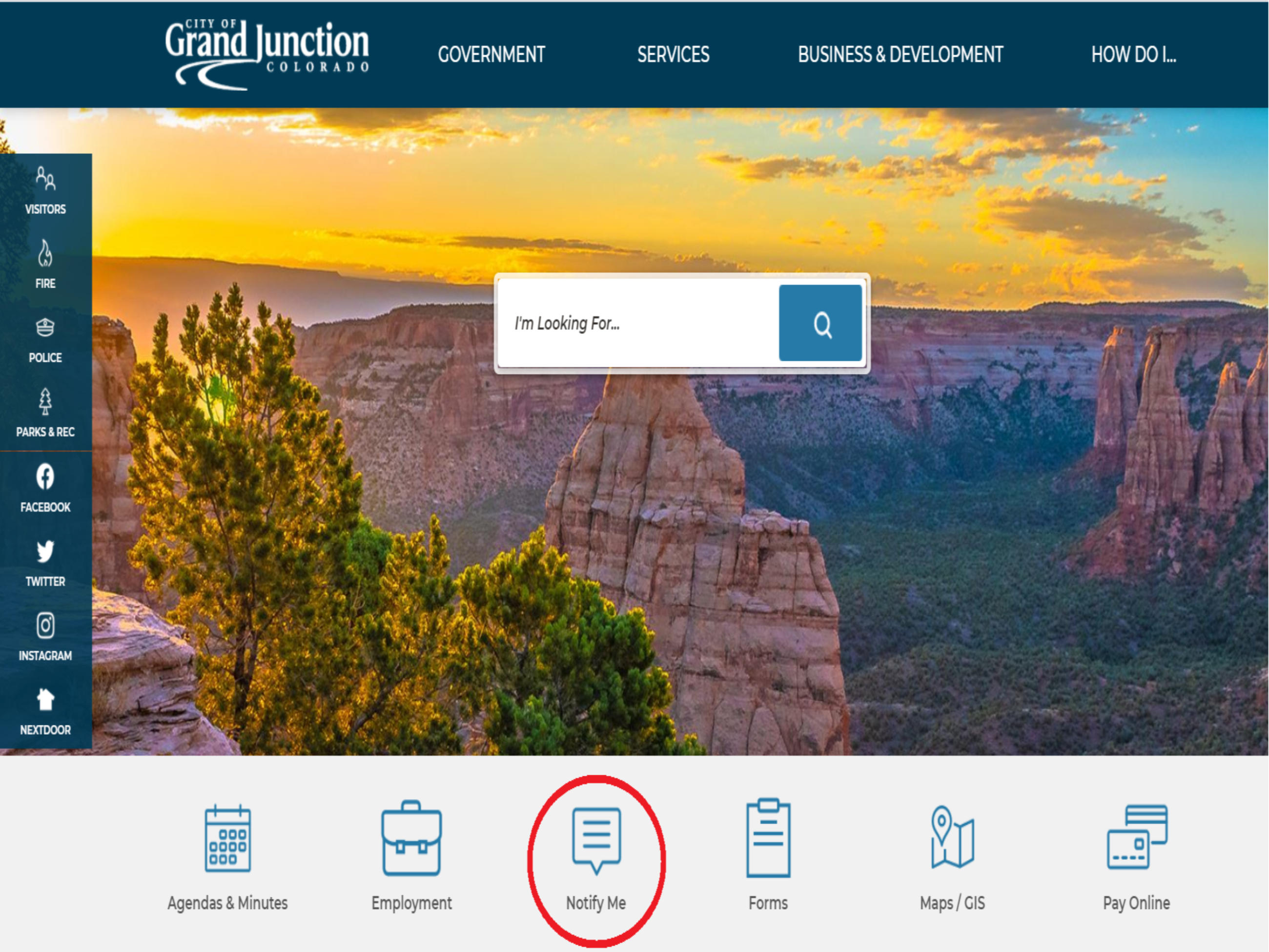 Notify Me section on homepage