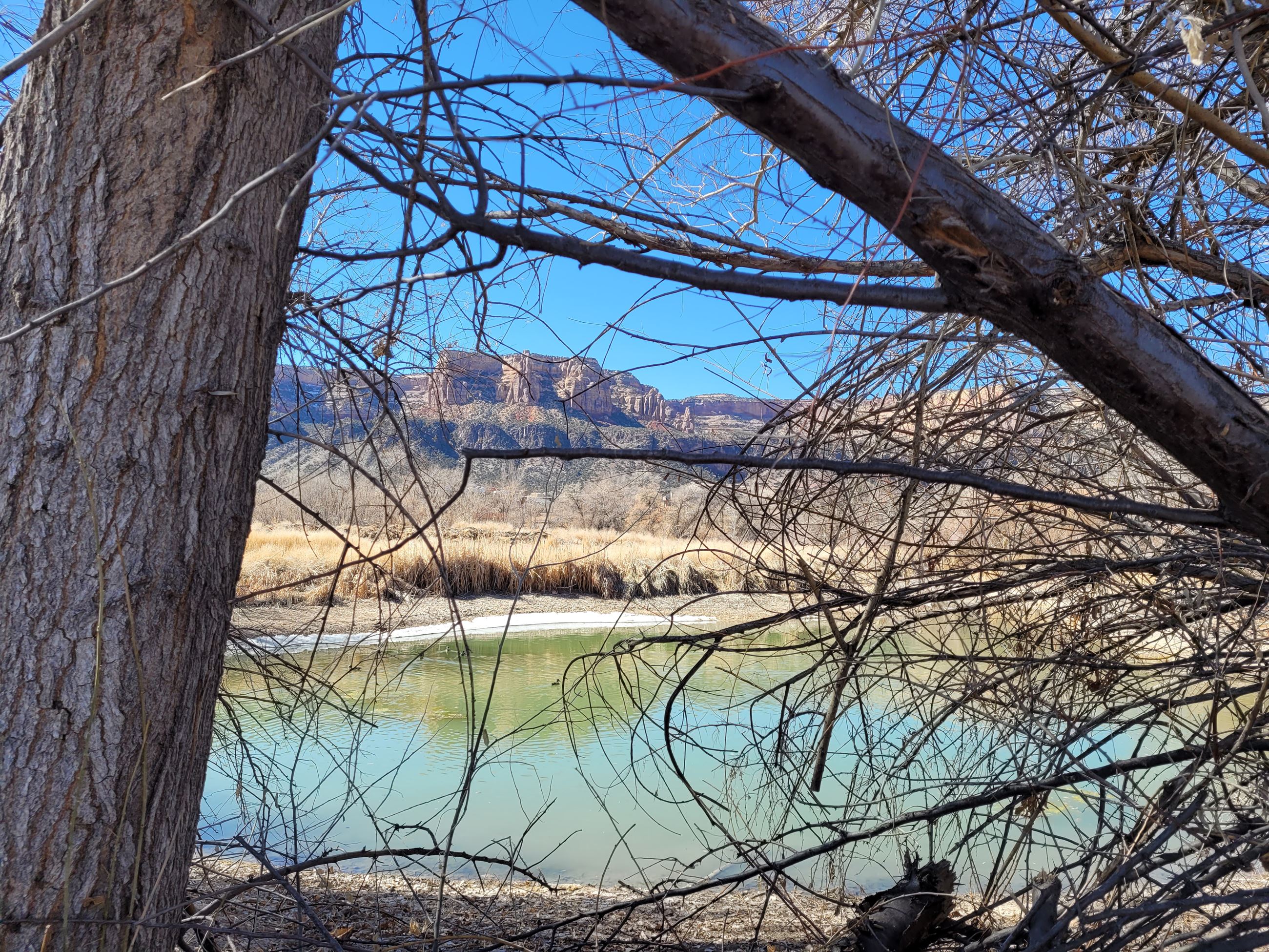 Kindred Reserve Open Space (15)