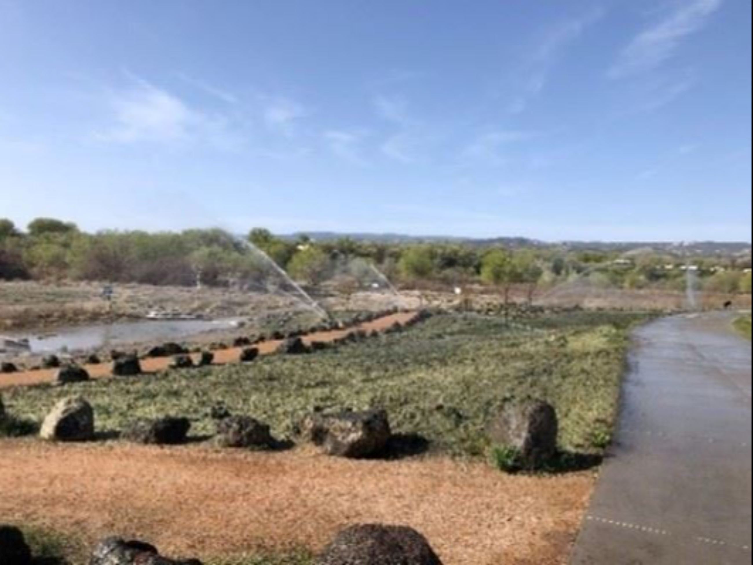 Photo of River Park Revegetation at Las Colonias