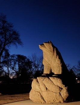 bear sculpture at night