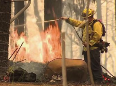 Fireman with a hose is dowsing a tree with a forest fire in the background