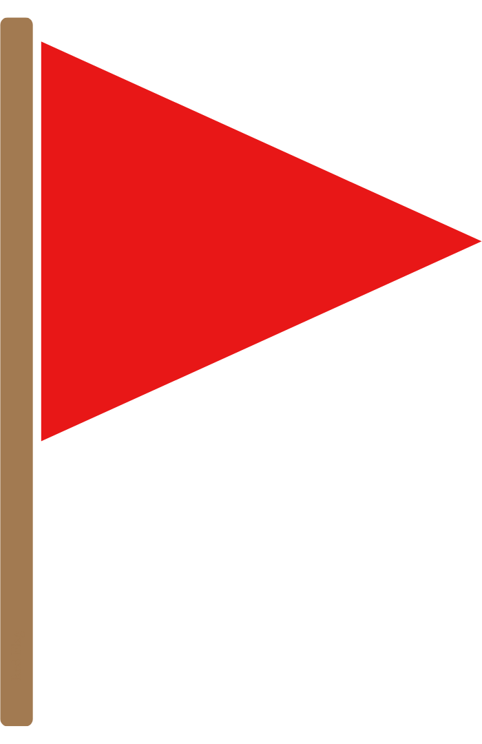 Red Flag Icon
