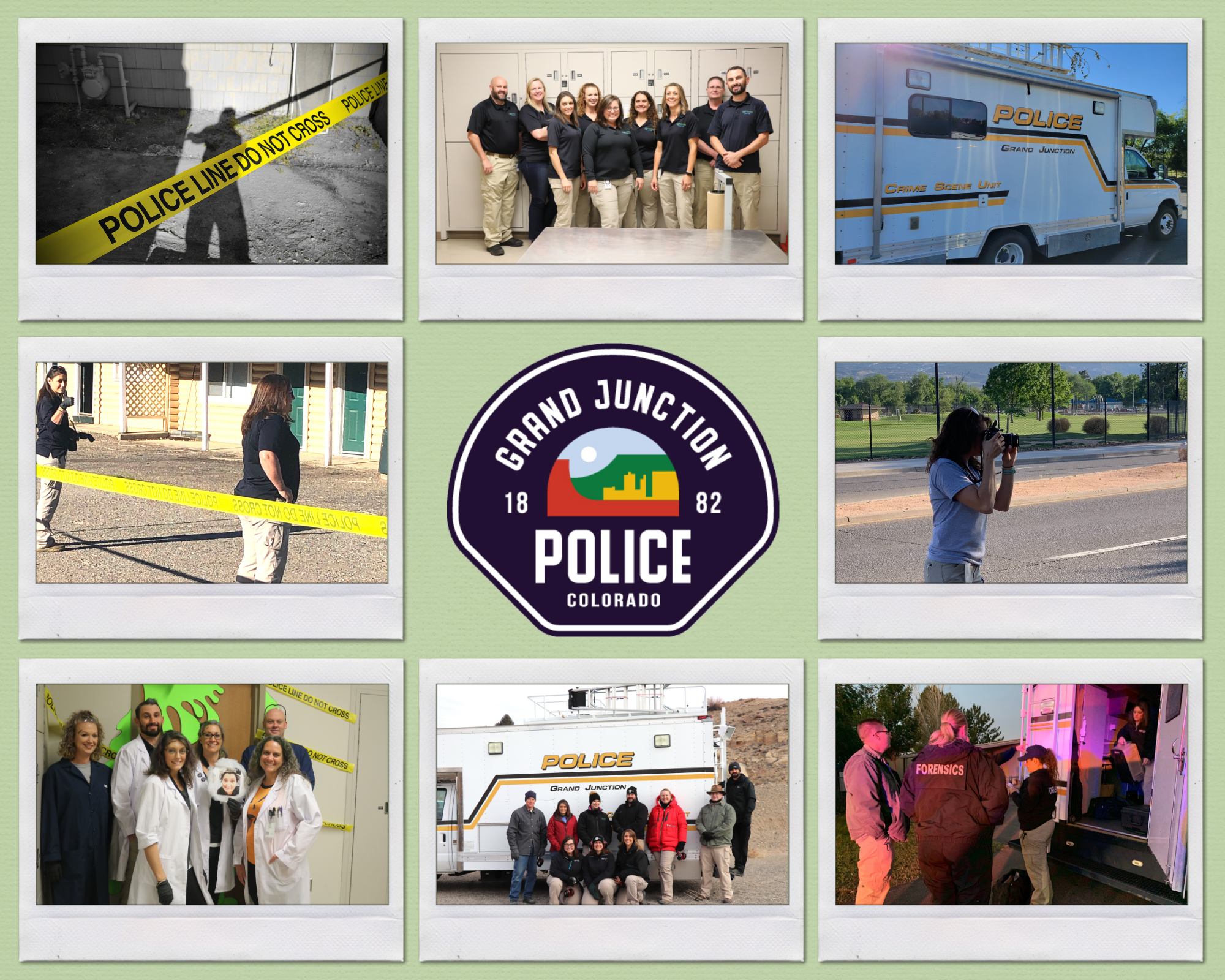 Property and evidence photo collage